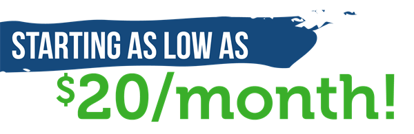MSP Essentials Plan Starting as low as $20 per month MSP Essentials Plan Starting as low as $20 per month